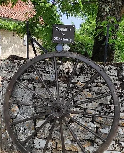 Domaine De Montanty Ferienhaus *